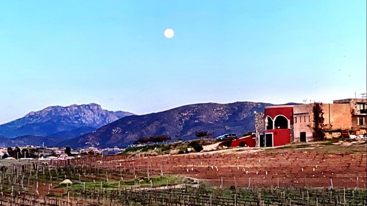 Finca Vidandrei Casa Mazahua Valle de Guadalupe Exterior foto
